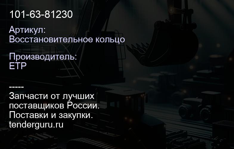 Восстановительное кольцо 101-63-81230 | купить запчасти